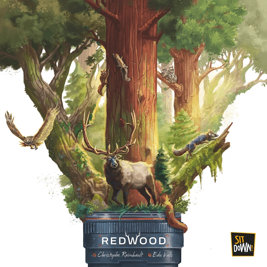 Redwood 3 Redwood