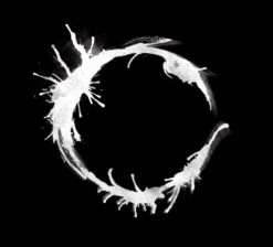 The Art & Science Of Arrival (Signed Exclusive Limited Edition Hardcover)