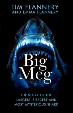 Big Meg: The Story Of The Largest, Fiercest & Most Mysterious Shark (Hardcover)