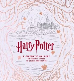 Harry Potter: A Cinematic Gallery: Colouring Book (Hardcover)