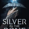 Silver In The Bone (Hardcover) 2 Silver In The Bone (Hardcover) -Fashion Select Toys Store 41b06aac12c164bbac163decf7a07b1d8f10