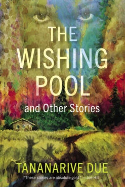 The Wishing Pool & Other Stories (Hardcover)