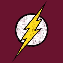 DC: Zipped Hoodie: The Flash