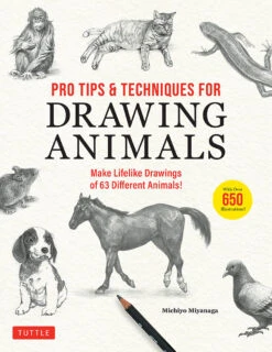Pro Tips & Techniques For Drawing Animals