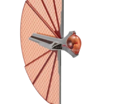 Star Wars: Micro Galaxy Squadron Replica Ship: Ginivex Starfighter 7 Star Wars: Micro Galaxy Squadron Replica Ship: Ginivex Starfighter -Fashion Select Toys Store 5c6561a47143bfd50a1c5969304ebdd6df45