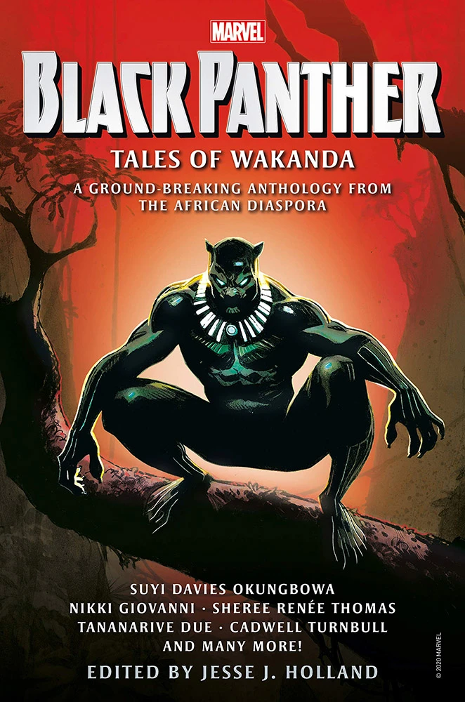 Black Panther: Tales Of Wakanda 3 Black Panther: Tales Of Wakanda
