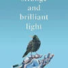 A Strange & Brilliant Light (Hardcover) 2 A Strange & Brilliant Light (Hardcover) -Fashion Select Toys Store 952678d68e109987072d1a76f975b98eba99