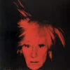 Andy Warhol (Hardcover) 2 Andy Warhol (Hardcover) -Fashion Select Toys Store 9d90db9f80990c41959c7a54efe3df997269