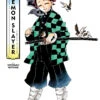 Art Of Demon Slayer: Kimetsu No Yaiba (Hardcover) -Fashion Select Toys Store STL245725