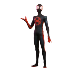 Spider-Man: Across The Spider-Verse: Hot Toys 1:6 Scale Action Figure: Miles Morales 9 Spider-Man: Across The Spider-Verse: Hot Toys 1:6 Scale Action Figure: Miles Morales -Fashion Select Toys Store afb64e67152da12e7a4a487c4f9671003708