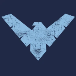 Batman: Hoodie: Nightwing