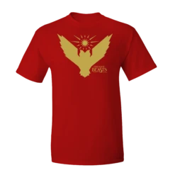 Fantastic Beasts: T-Shirt: Owl Air Force Logo